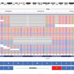 An Unusual PDGFRA Mutation in Gastrointestinal Stromal Tumor and Its NGS  Data Analysis