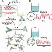 AI-Driven Quantum Biosensors: A Promising Frontier for Real-Time Detection of Glioma Stem Cell Plasticity in Neuro-Oncology