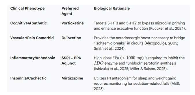 Operationalizing the Neuro-Immune Axis: A Clinical Protocol for Geriatric  Antidepressant Optimization